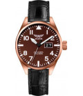 Aviator Airacobra V.1.22.2.151.4