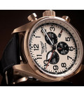 Aviator Airacobra V.2.25.2.173.4