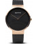 Bering 14539-166