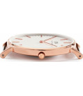 Daniel Wellington Classic Cornwall 36mm