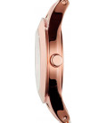 Emporio Armani Donna AR7354