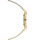 Daniel Wellington Petite Evergold 36mm