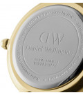 Daniel Wellington Petite Evergold 36mm