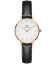 Daniel Wellington Petite Sheffield 24mm