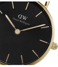 Daniel Wellington Petite Evergold 28mm