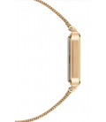 Daniel Wellington Quadro Pressed Evergold
