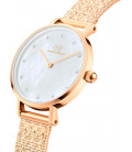 Daniel Wellington Petite Lumine Pressed Piano (white) Evergold