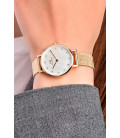 Daniel Wellington Petite Lumine Pressed Piano (white) Evergold