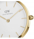 Daniel Wellington Petite Evergold 28mm