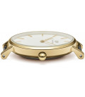Daniel Wellington Petite Evergold 28mm